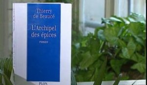 Thierry de Beaucé : L'Archipel des épices