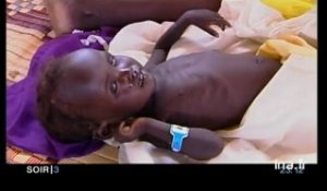 Darfour : l'ONU menace le Soudan de sanctions si le gvt ne désarme pas les Djand