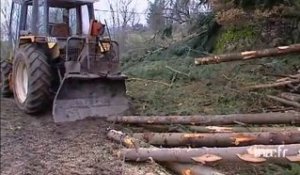 L'état des forêts suite à la tempête dans la Loire