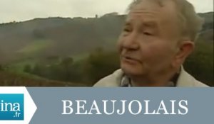 Le Beaujolais nouveau au Japon - Archive INA