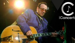 iConcerts - Elvis Costello - Peace Love And Understanding (live)