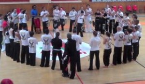 Beauvais : Démonstration de capoeira