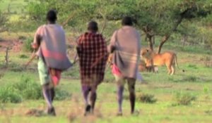 3 hommes affrontent 15 lions affamés
