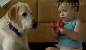 Dog will endure anything: Labrador & baby