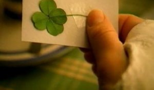Saint Patrick's Day: best Irish commercials