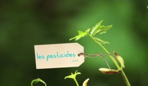 Claude Bureaux : jardiner autrement en réduisant l'usage des pesticides