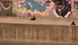 Skate : New Antiz Trailer, OAF