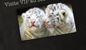 Inoubliable visite VIP du zoo de Maubeuge