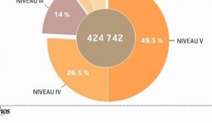 Infographie du jour : Alternance, peut mieux faire