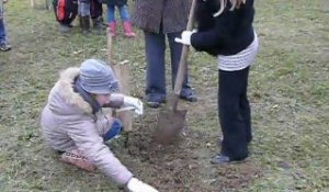 froissy : des arbres pour sauver la planète...