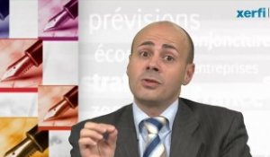 Xerfi Canal - Prévisions économiques 2012 - France : redynamiser le tissu de PME et d’ETI