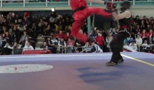 Projet combat kung fu traditionnel FFWushu