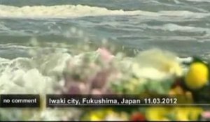 La catastrophe de Fukushima, un an déjà - no comment