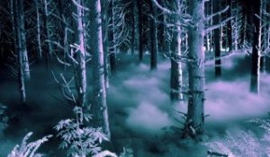 American Horror Story: Asylum - Teaser "The Woods" [HD] [NoPopCorn] VO