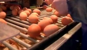 Consommation : vers une pénurie d’œufs