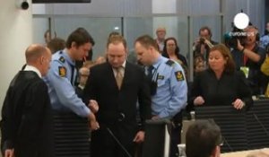 Anders Behring Breivik avoue ses crimes, mais plaide...