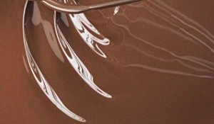 Sauce au chocolat - 750 Grammes