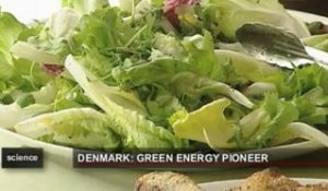 Energies renouvelables : l'exemple danois