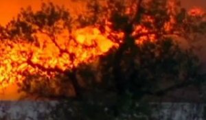 Six pompiers blessés dans un incendie au Portugal