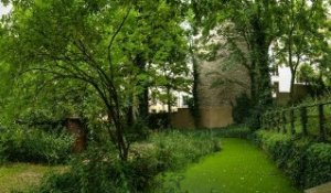 Jardin Sauvage Saint-Vincent