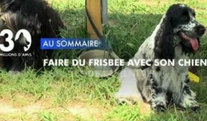 Sommaire émission 30 Millions d'Amis 8/9/2012