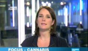 La marijuana au coeur du débat californien (France 24)