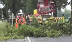 Un arbre foudroyé bloque la grand-route de Maastricht