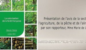 la valorisation de la forêt française - cese