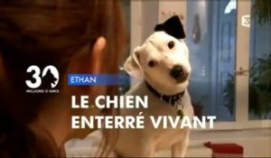 Reportage sur ETHAN, chien enterré vivant (30 millions d'amis)