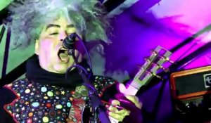 Melvins Lite - National Hamster (live)