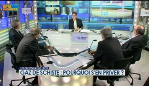 Gaz de schiste : pourquoi s’en priver ? - 6 février - BFM : Les décodeurs de l'éco 4/5