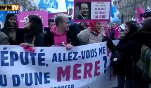 200 opposants au mariage homo ont manifesté sur les Champs Elysées - 10/02