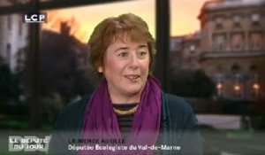 Le Député du Jour : Laurence Abeille