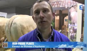 SIA 2013 : Jean-Pierre Planté réagit au scandale de la viande chevaline