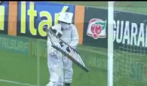 Insolite : Un essaim d'abeilles sur des buts de football !