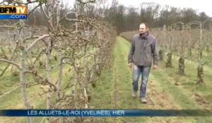 Quelle dangerosité pour les pesticides? - 20/03