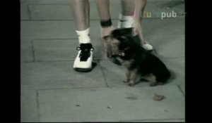 Basketball bad boy shoots puppy in dustbin