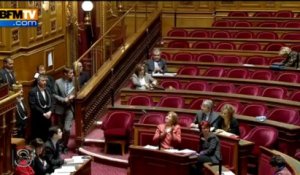 Le Sénat vote un texte UMP sur les allocations familiales - 28/03
