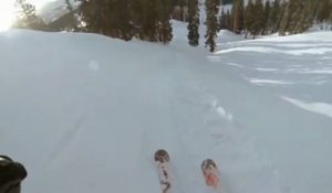 Backflip en ski à la première vue