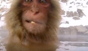 GoPro - Snow Monkey - Hot Tub -2013