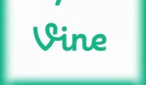 Top 10 Vine Videos