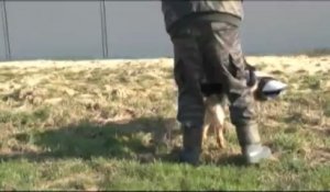 Acheteur de chiens au 132e bataillon cynophile de l'armée de Terre - mars 2011