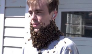 Pari de fou : Une barbe d'abeilles pour 1 million de fan Facebook..et il l'a fait!