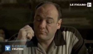 Mort de James Gandolfini : "Il n'était pas Tony Soprano dans la vraie vie"