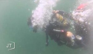 Vacances : La plongée sous-marine à l'Île-d'Yeu