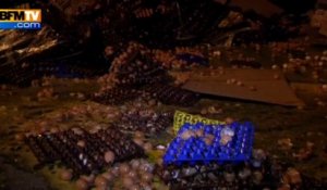 100.000 œufs détruits par les producteurs en signe de protestation - 08/08