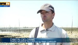 Les plus belles îles de France: le bassin d'Arcachon en Gironde - 09/08