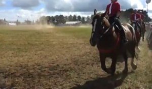 Loudéac. La fête du Cheval