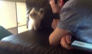 Un chaton essaye d'attraper le souffle de son maître... trop mignon!!
