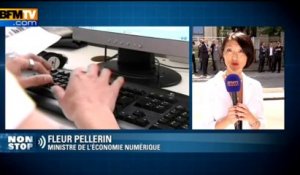 Tweets homophobes: Fleur Pellerin soutien la démarche d'Idaho France - 12/08